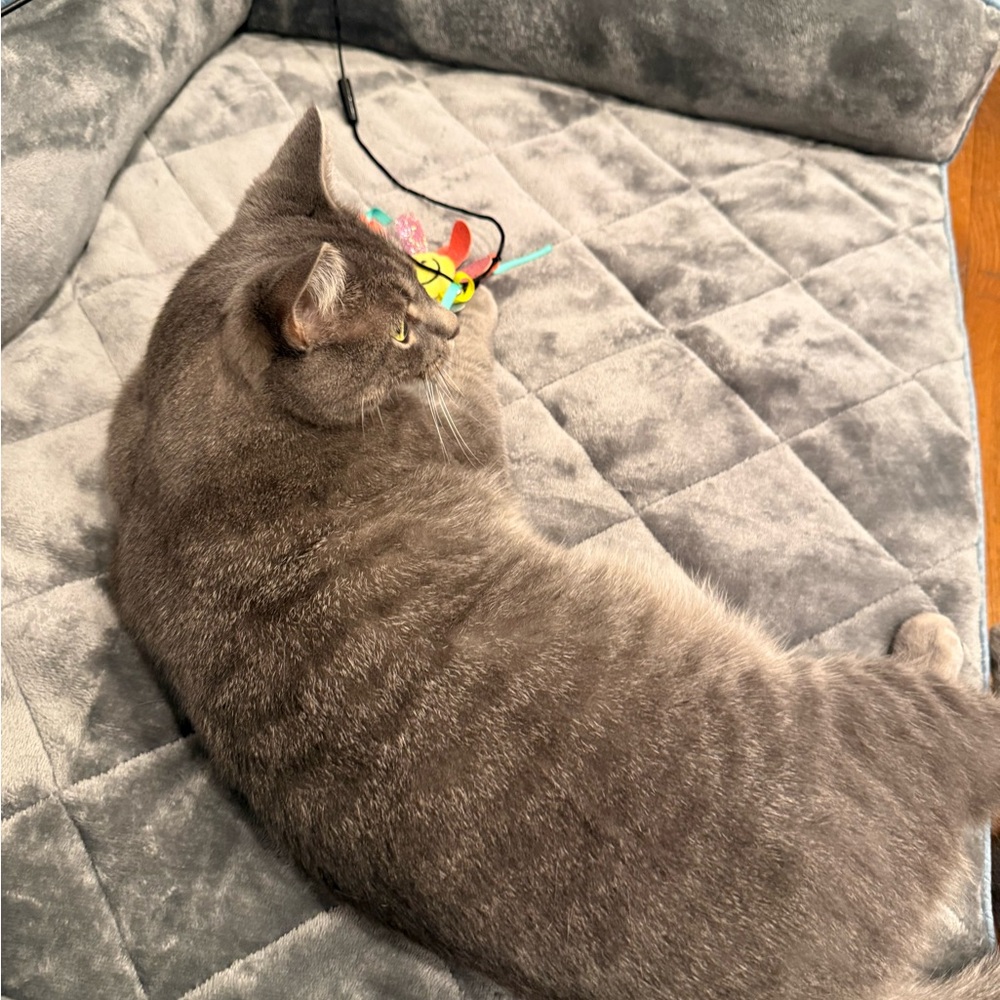 Meet your Posher, Karla